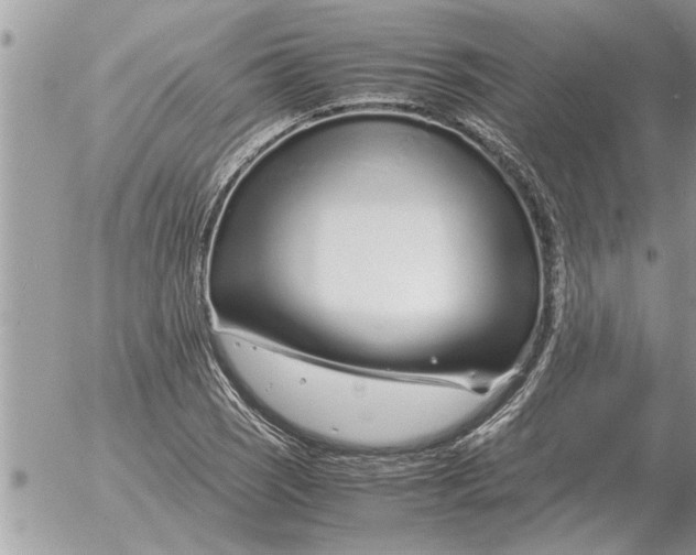 X0000052601121200507292116