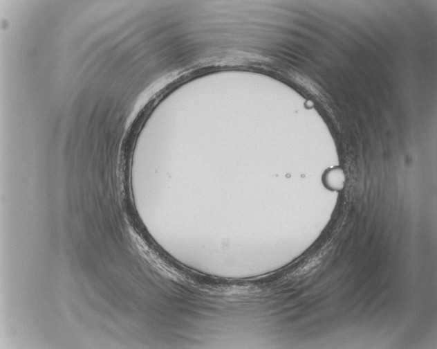 X0000052601122200507292116