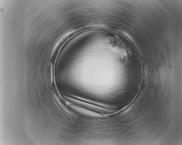 X0000052601123200507292116