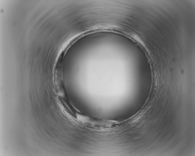 X0000052601124200507292116