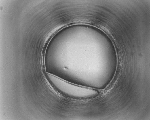 X0000052601125200507292116