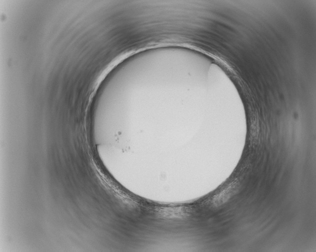 X0000052601126200507292116