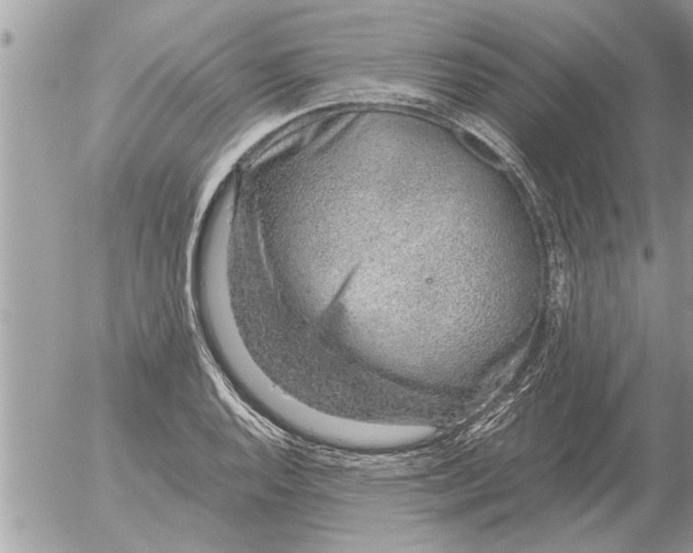 X0000052601128200507292116