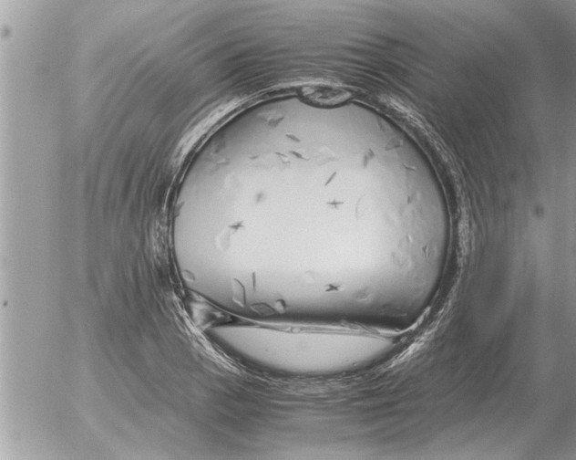 X0000052601129200507292116