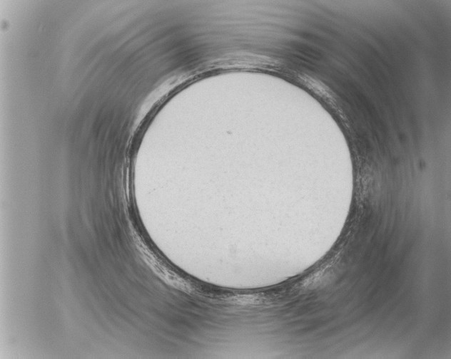 X0000052601130200507292116