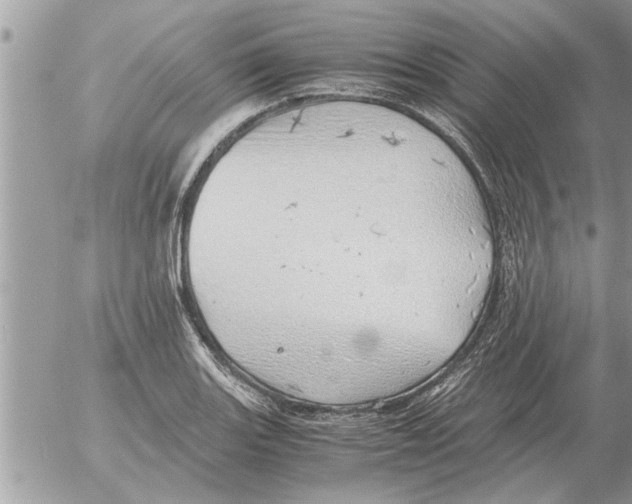 X0000052601131200507292116