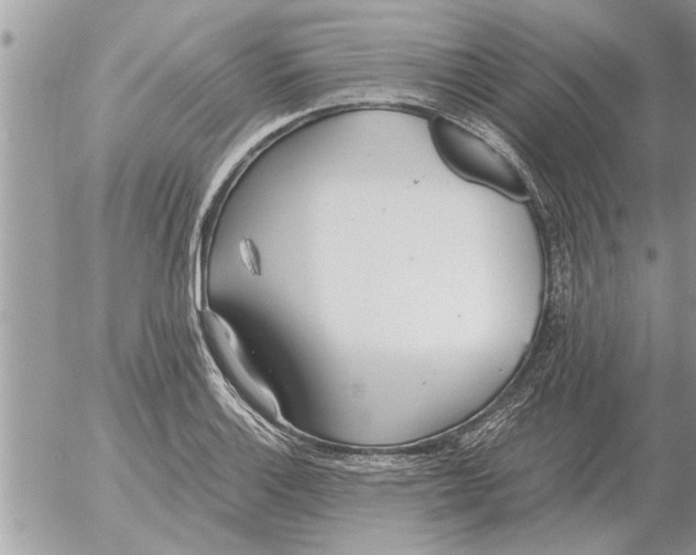 X0000052601132200507292116