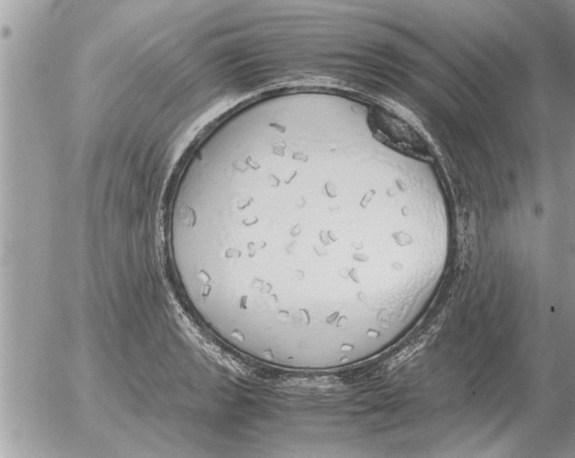 X0000052601133200507292116