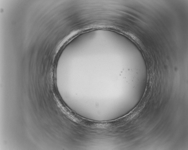 X0000052601134200507292116