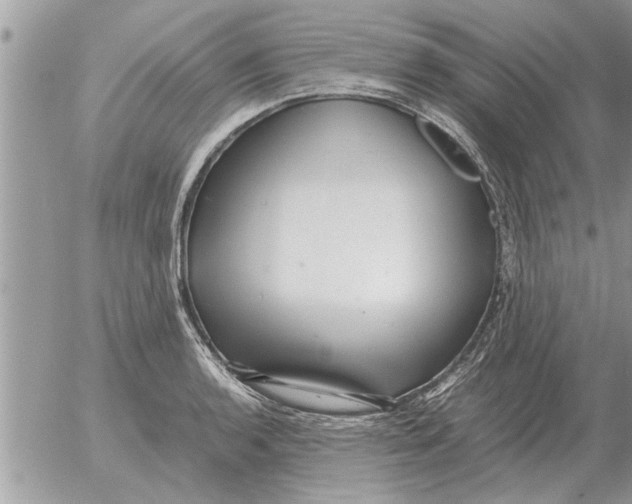 X0000052601136200507292116