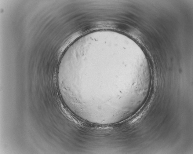 X0000052601137200507292116