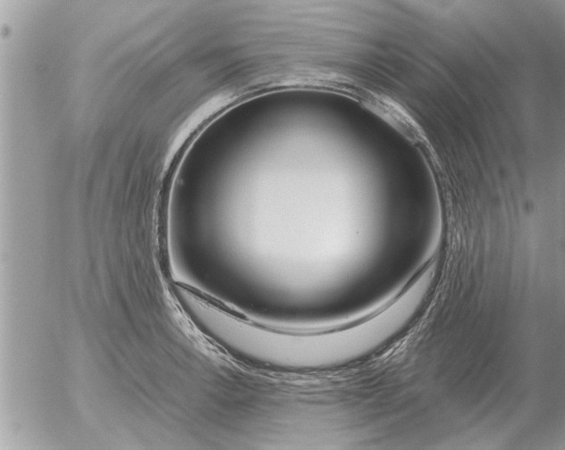 X0000052601138200507292116