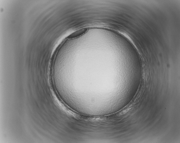 X0000052601139200507292116