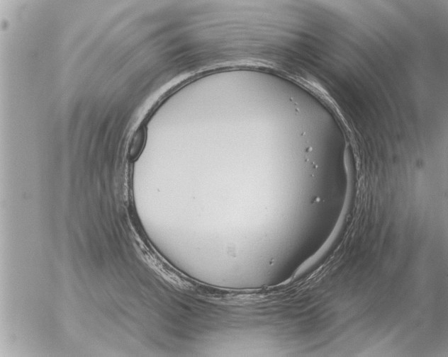 X0000052601140200507292116