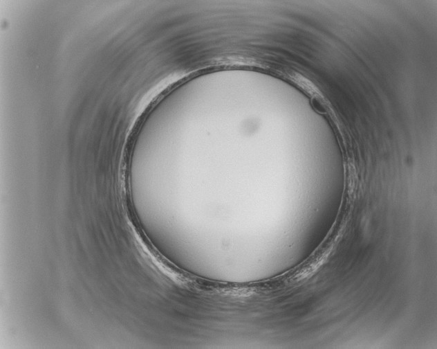 X0000052601141200507292116