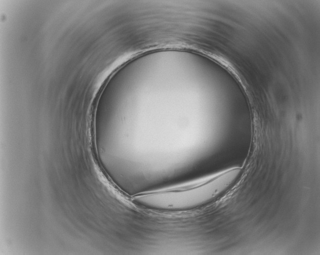 X0000052601142200507292116