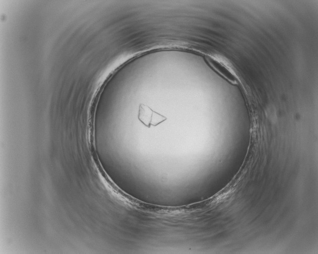 X0000052601143200507292116