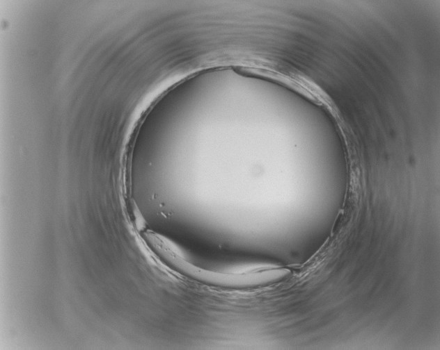 X0000052601144200507292116