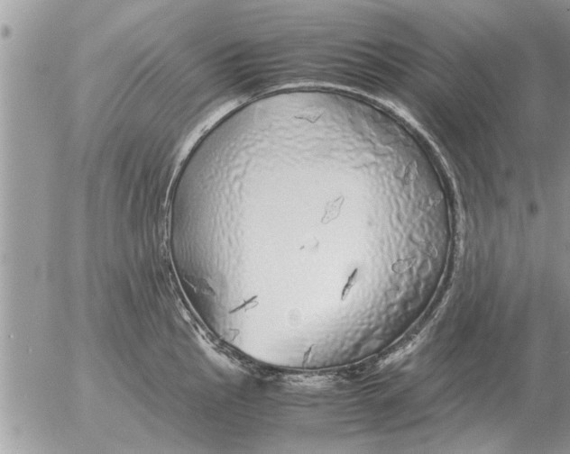 X0000052601145200507292116