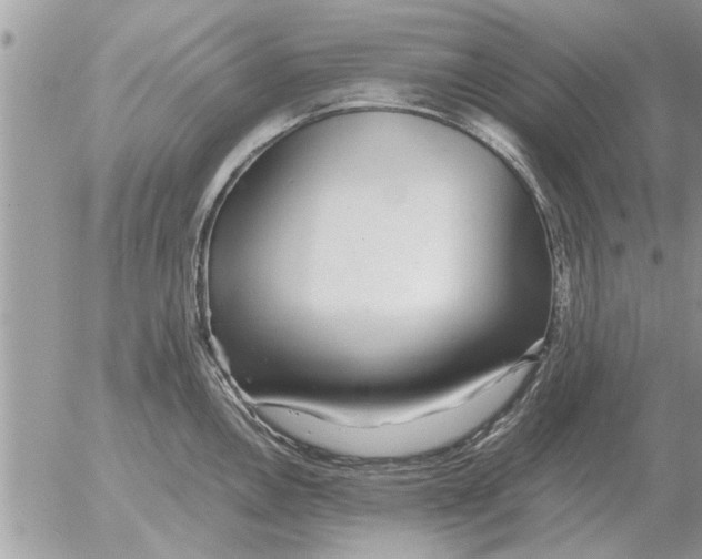 X0000052601146200507292116