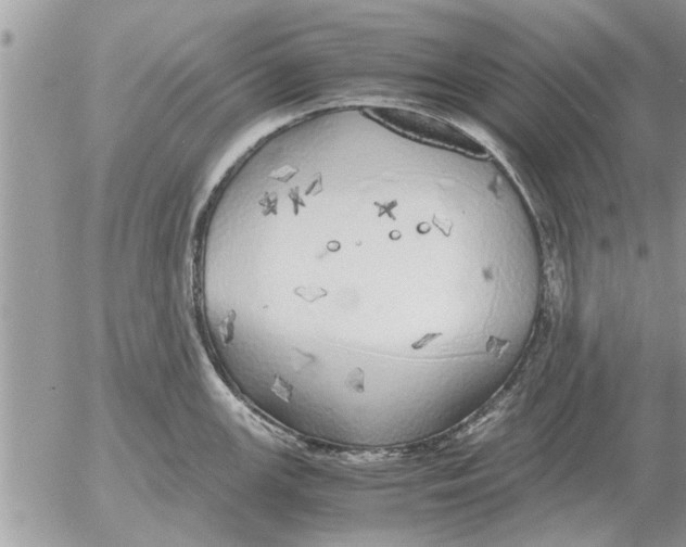 X0000052601147200507292116