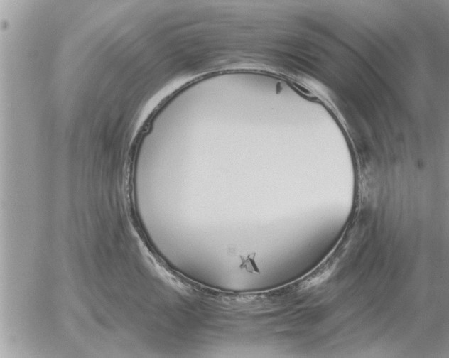 X0000052601149200507292116