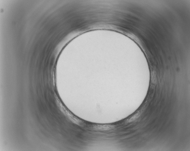 X0000052601150200507292116