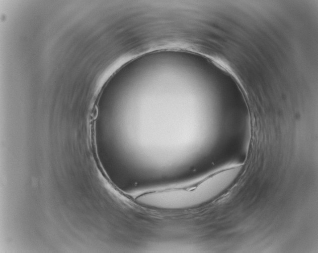 X0000052601151200507292116