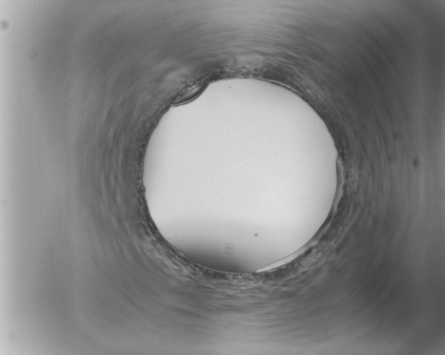 X0000052601153200507292116