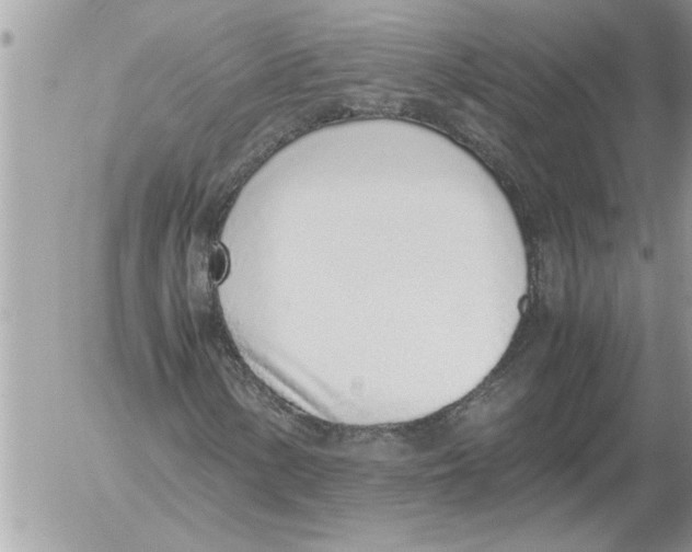 X0000052601154200507292116