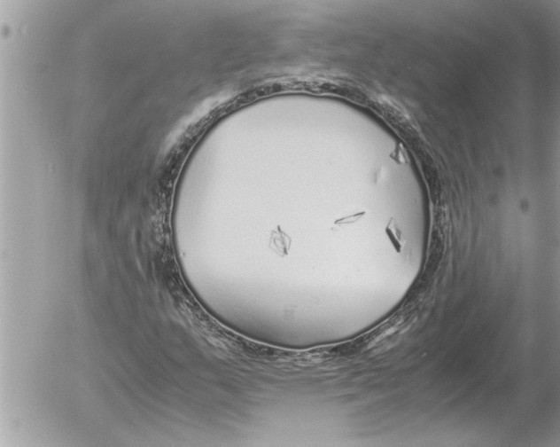 X0000052601159200507292115