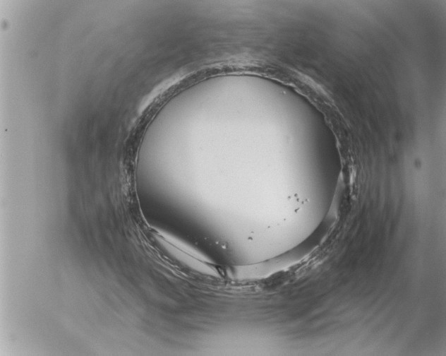 X0000052601160200507292115