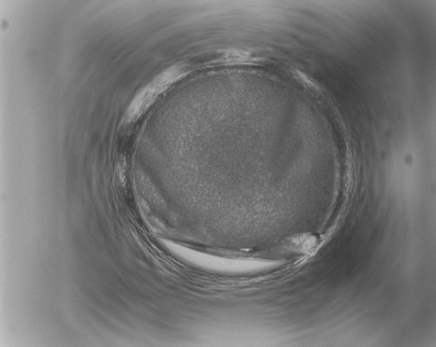 X0000052601161200507292115