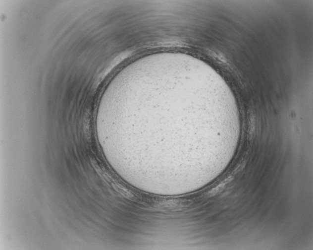 X0000052601162200507292115