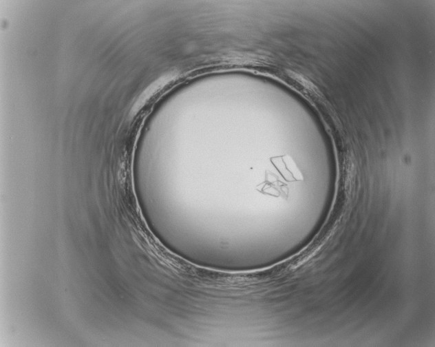 X0000052601163200507292115