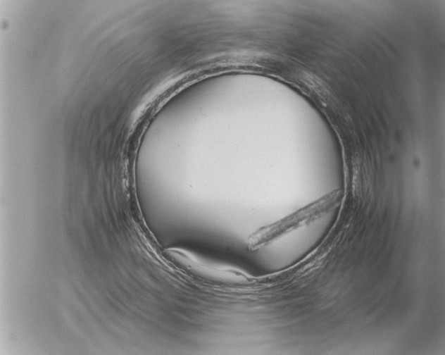 X0000052601164200507292115