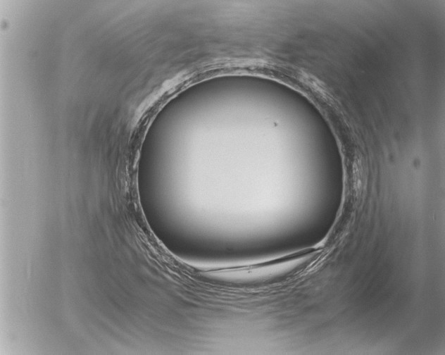 X0000052601165200507292115