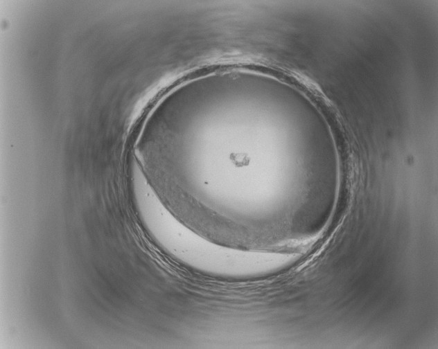 X0000052601167200507292115