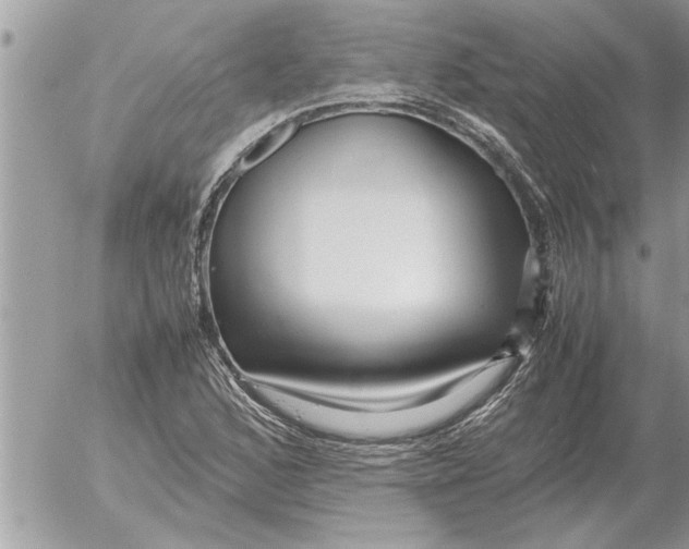 X0000052601168200507292115