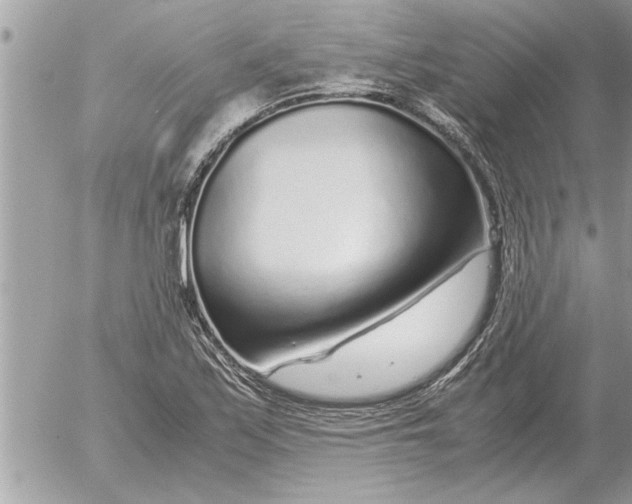 X0000052601171200507292115