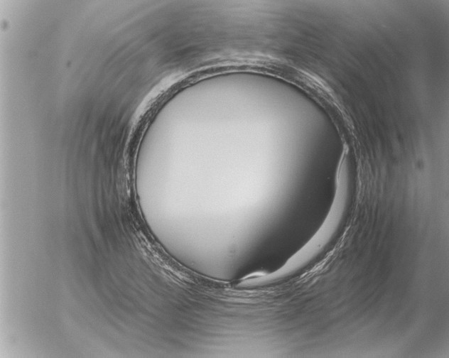 X0000052601172200507292115