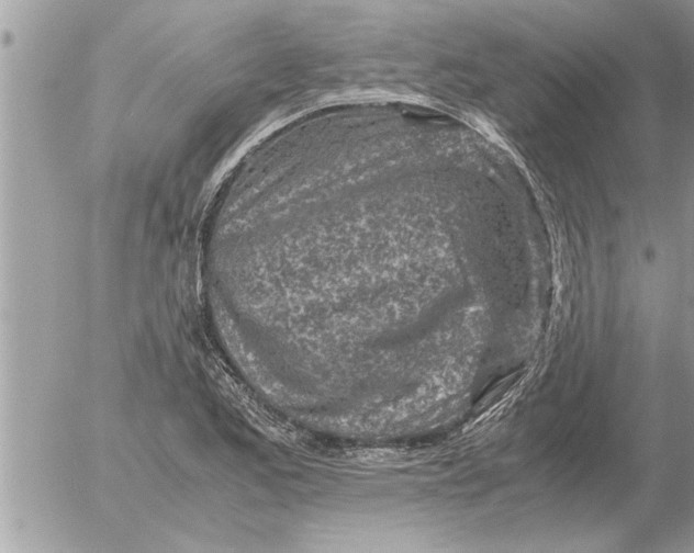 X0000052601173200507292115