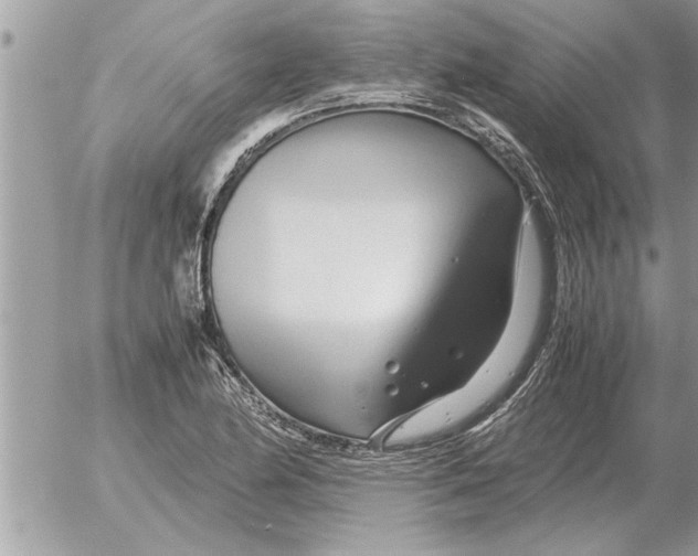 X0000052601174200507292115