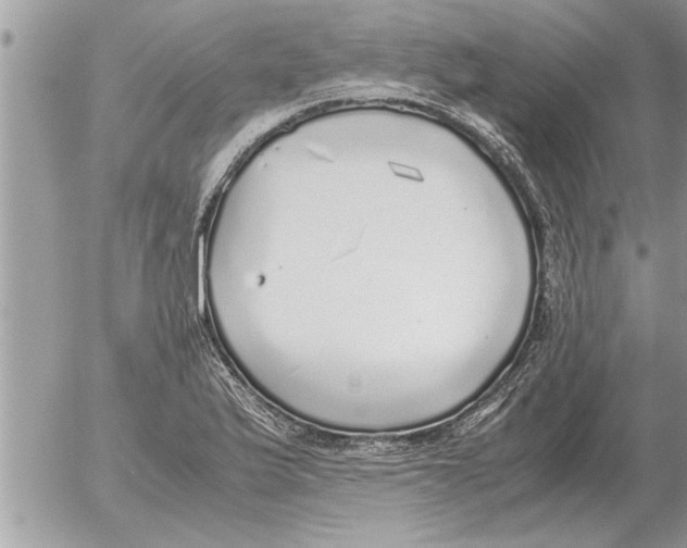 X0000052601175200507292115