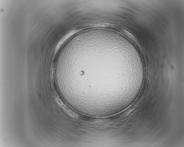 X0000052601179200507292115