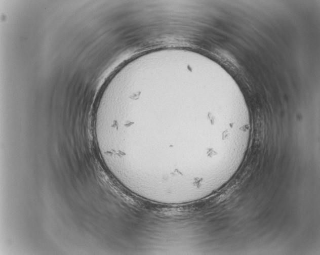 X0000052601182200507292115