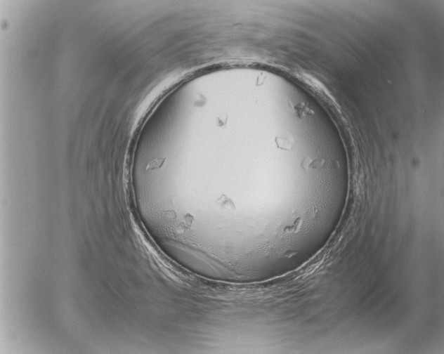 X0000052601183200507292115