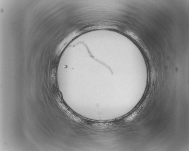 X0000052601185200507292115