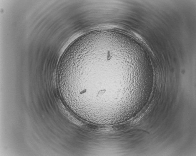 X0000052601186200507292115