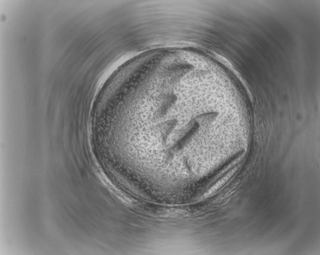 X0000052601187200507292115